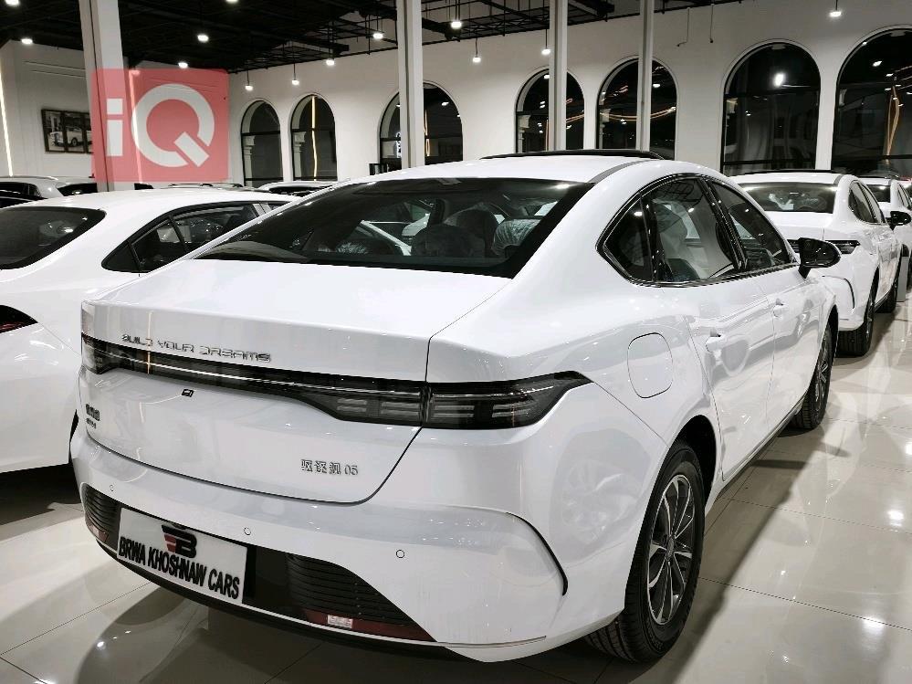 بي واي دي ديستروير 05